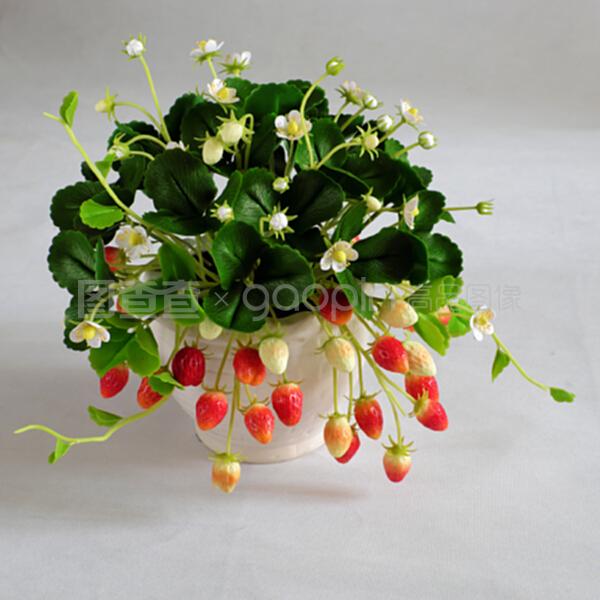 泥花藝術 家庭裝飾中的草莓壺花卉
