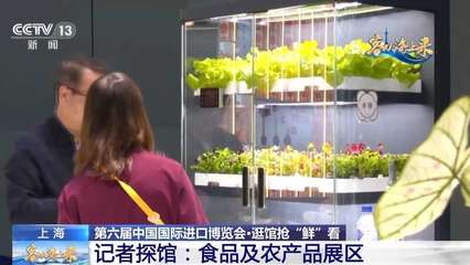 不再只是玉米和白菜 ? ? ? ?  記者在“四葉草”發現，進博會 “養成”的農業未來想象體綜合體驗 \u3010\u4eca\u5c4a\u6295\u505c\u7576\u201centailles =Bags +？} iThink？